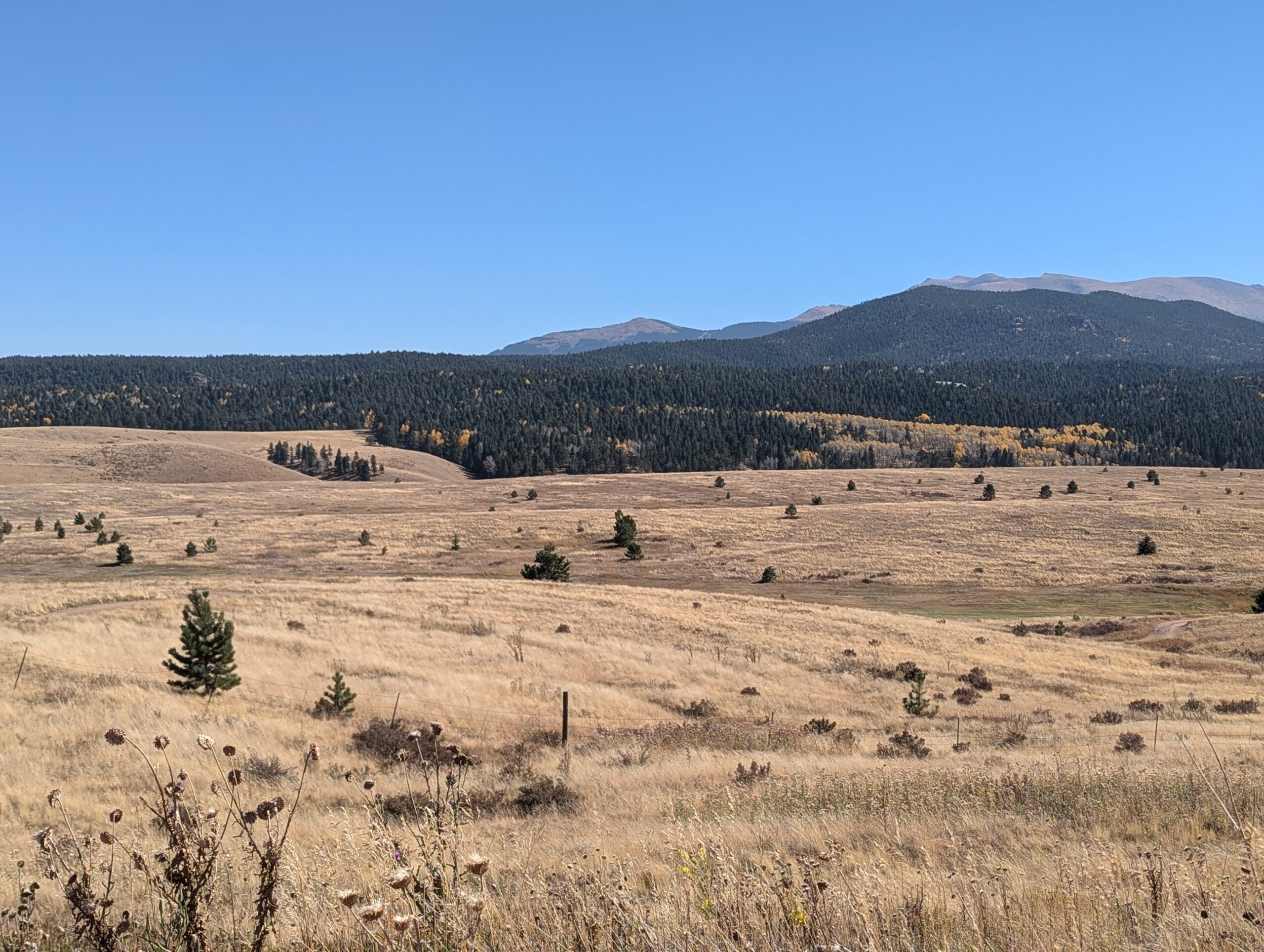 Hayden Divide Community Park