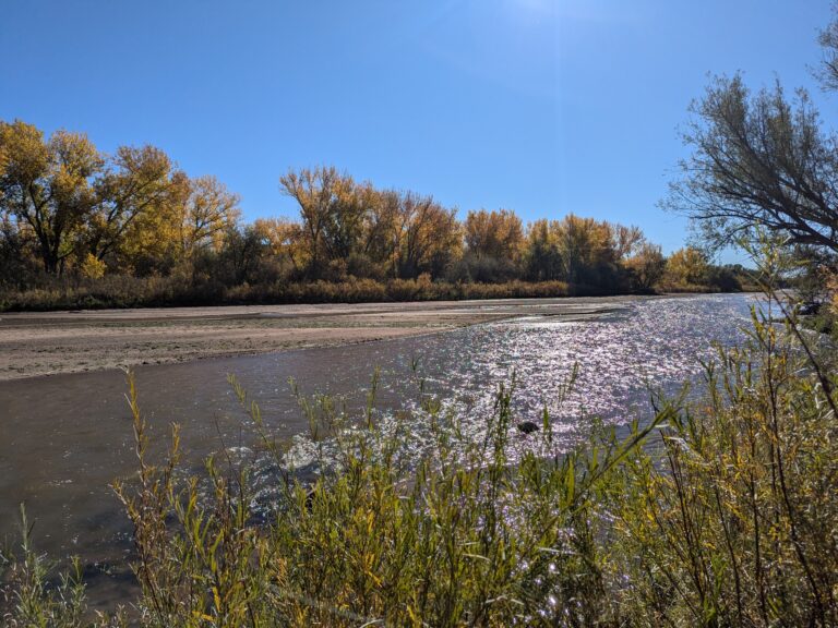 Fountain Creek flowing through Clear Spring Ranch with autumn cottonwood trees lining the banks under a bright blue sky.