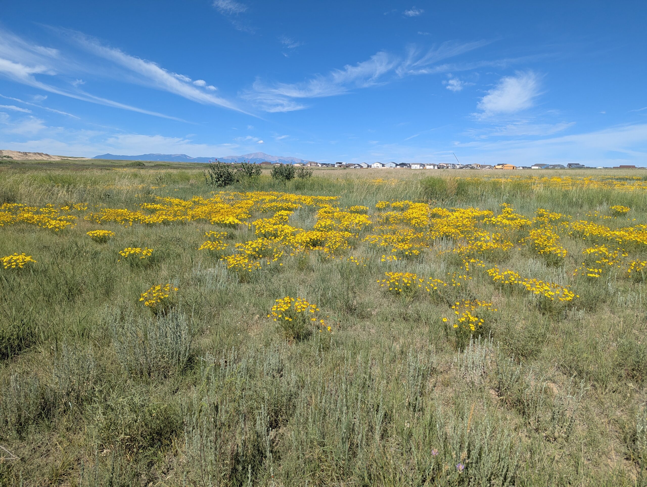 Falcon Regional Park