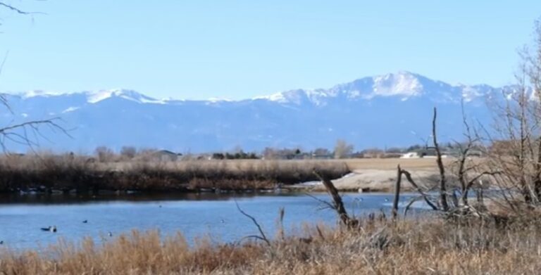 Drake Lake - Lake - Winter