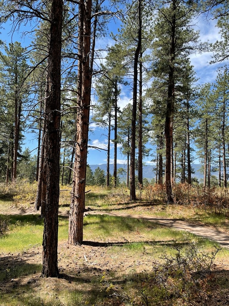 Dawson Butte 3