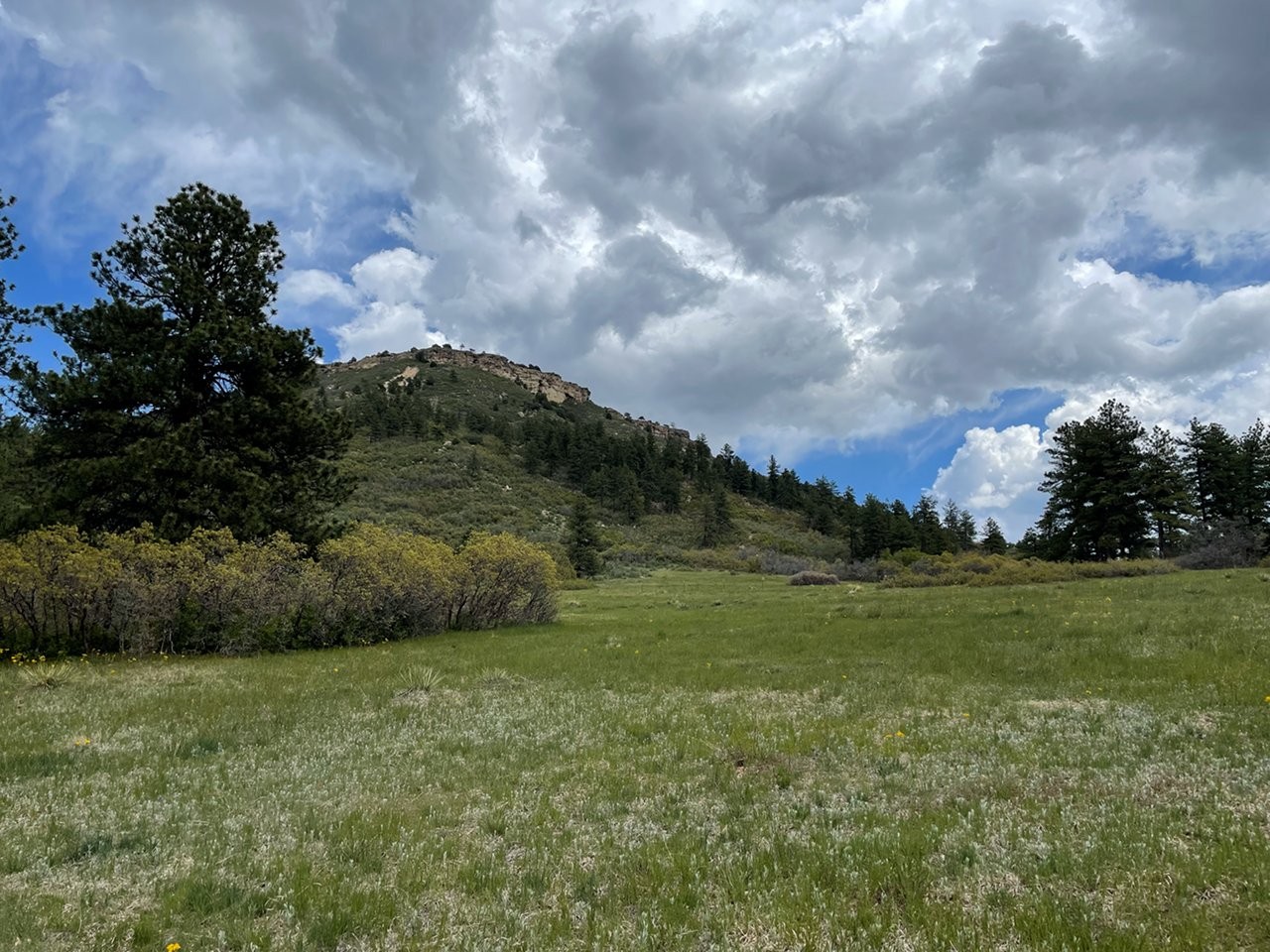 Dawson Butte 4