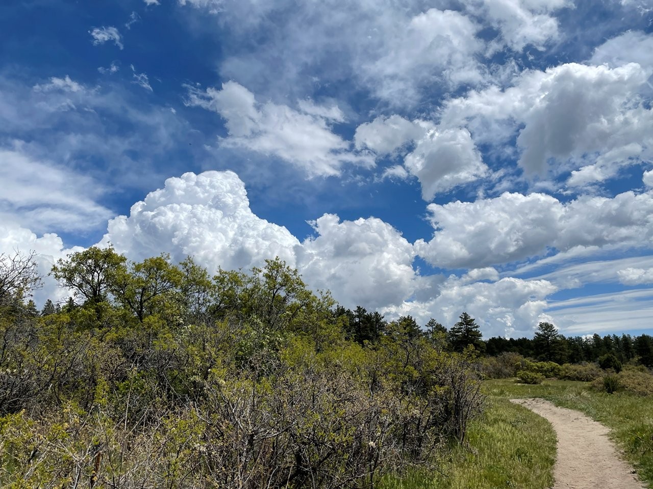 Dawson Butte 5