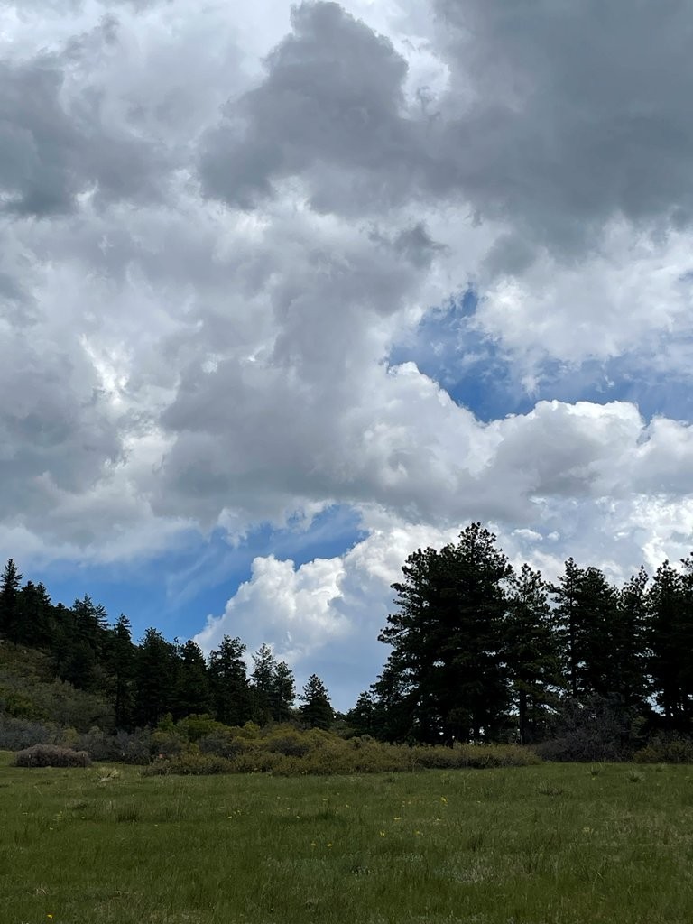 Dawson Butte 6