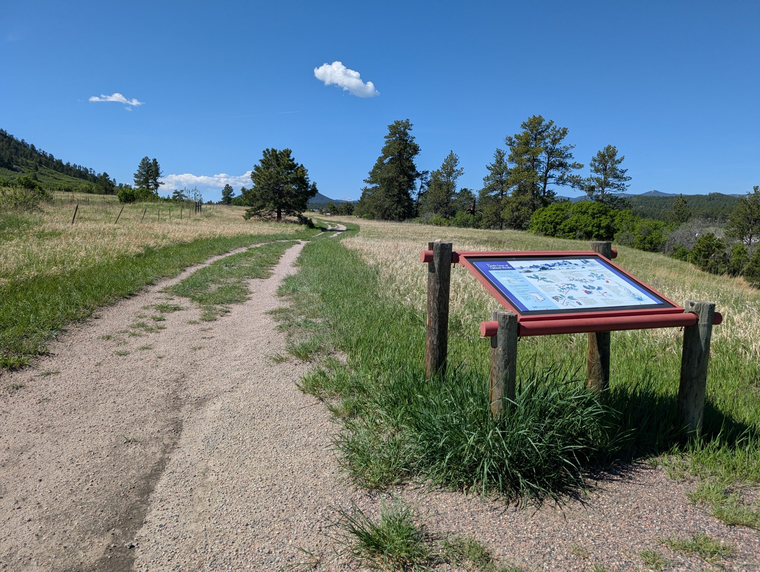 Columbine Open Space 6