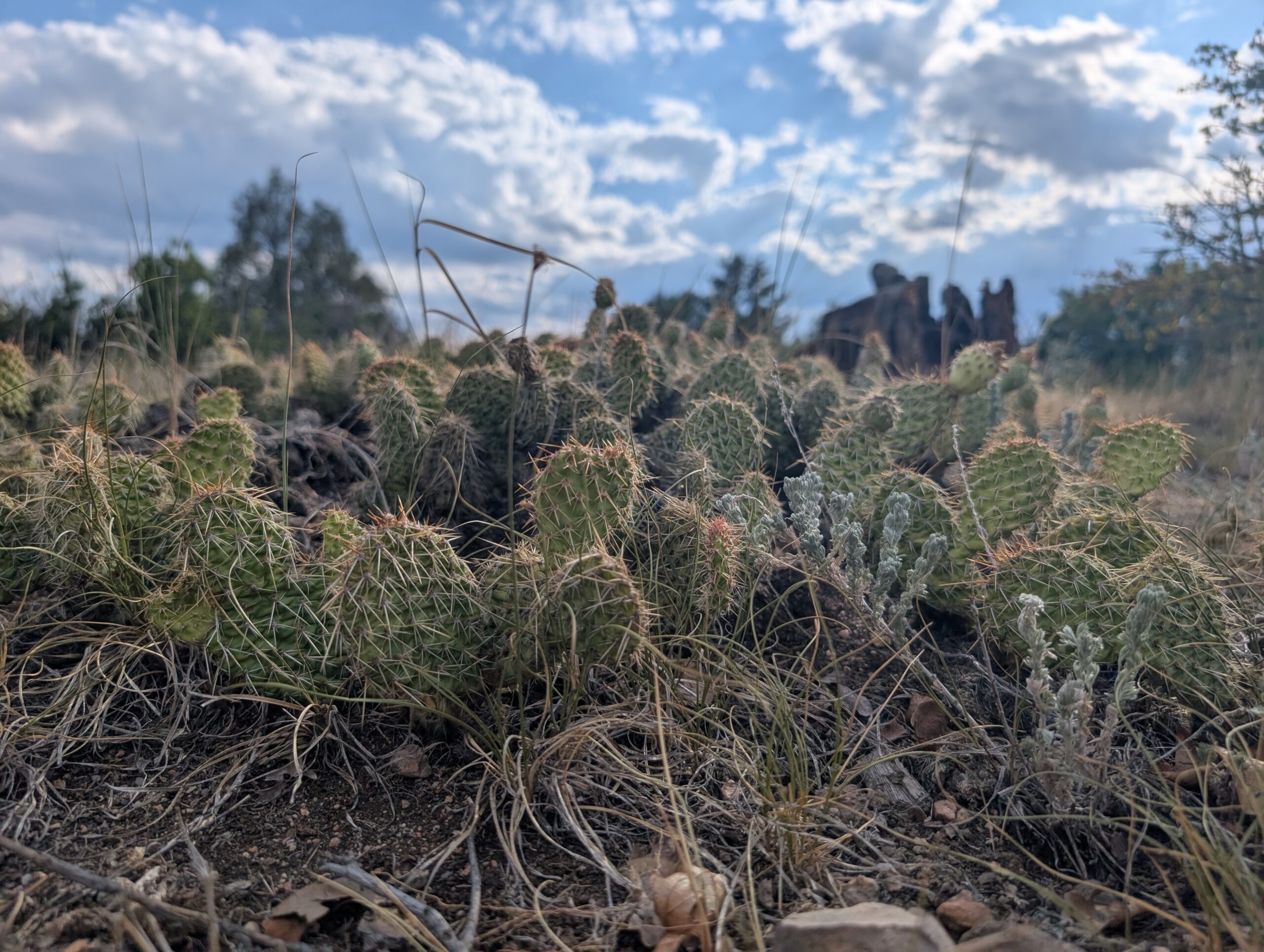 Lost Canyon Ranch 10