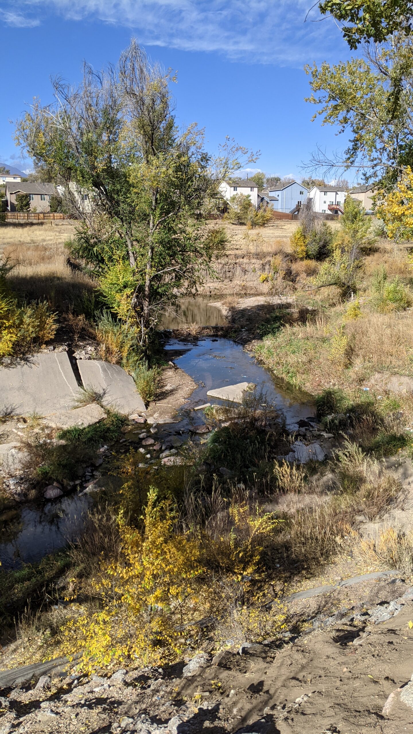 Spring Creek 6