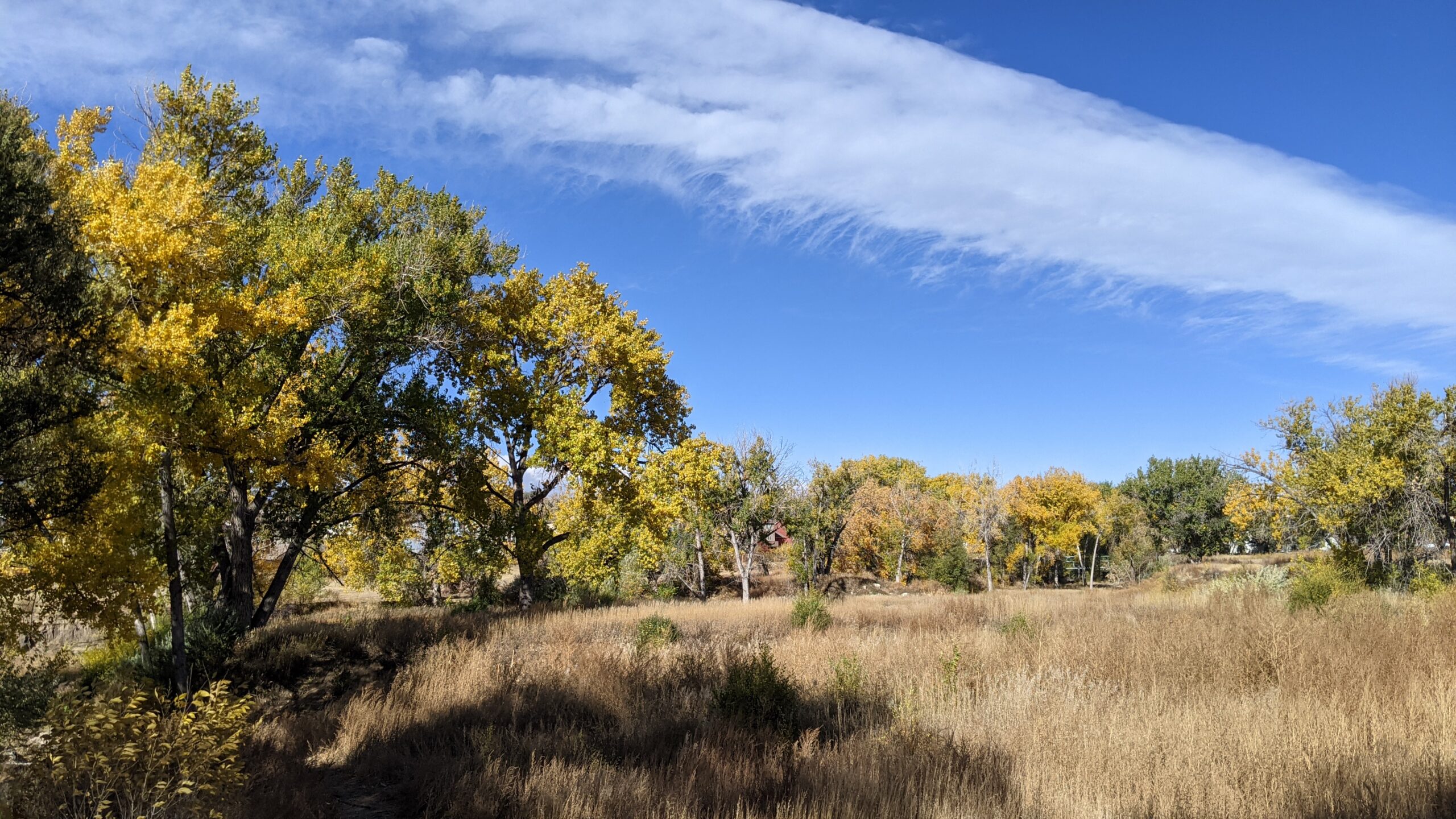 Spring Creek 5
