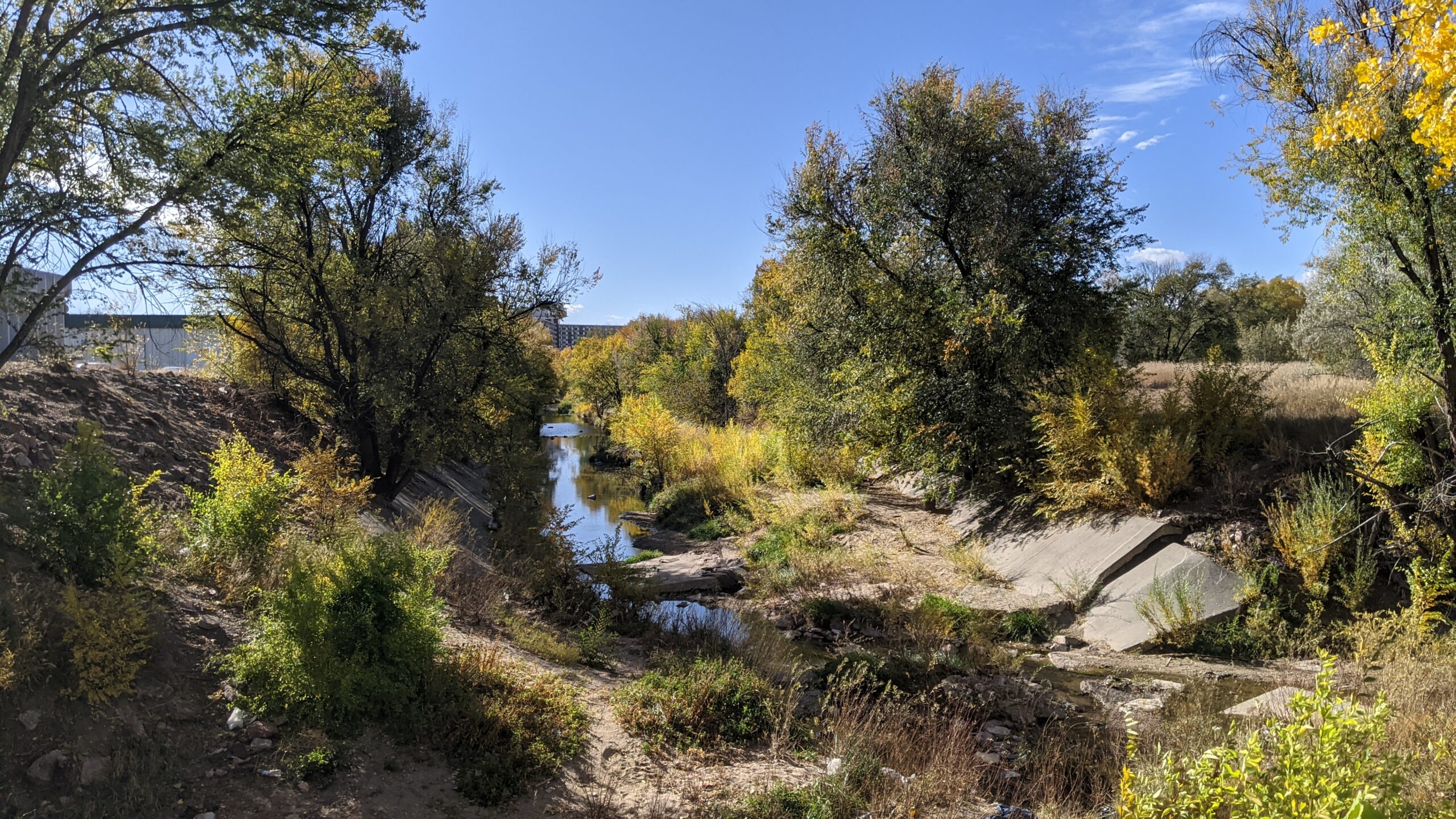 Spring Creek 4