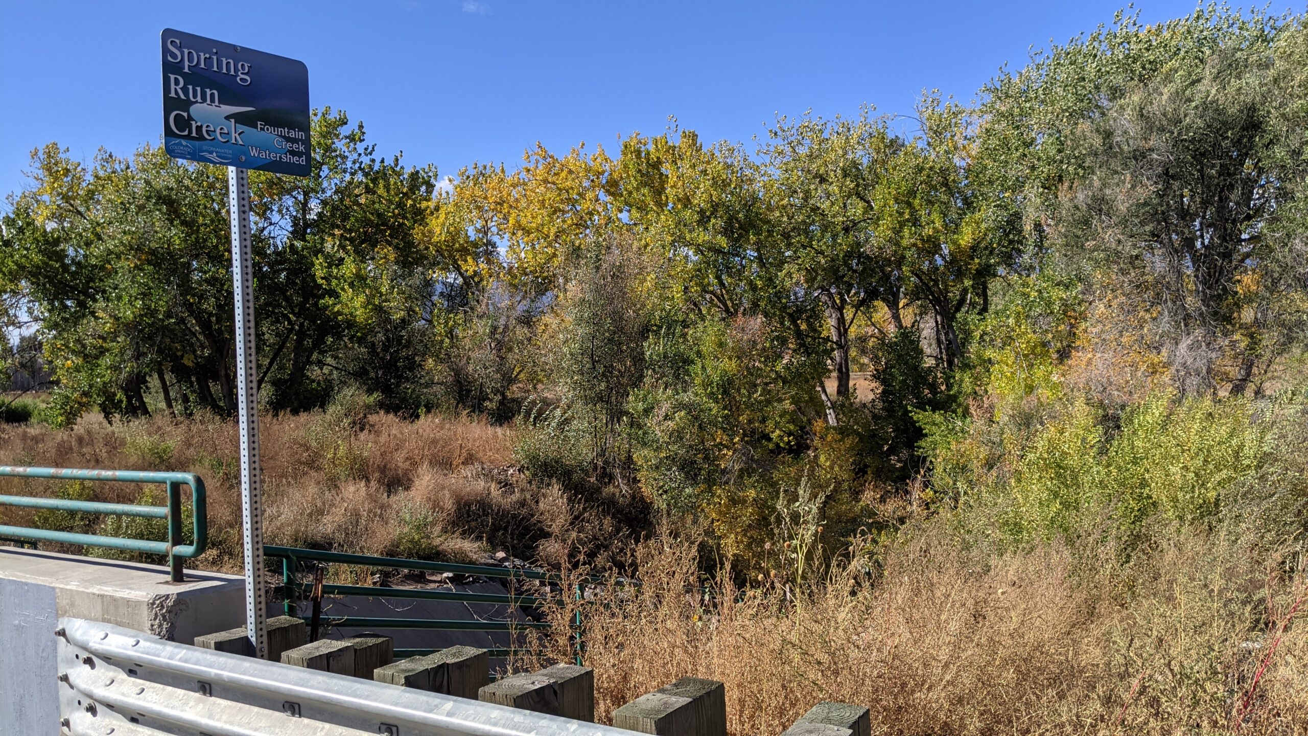 Spring Creek 3