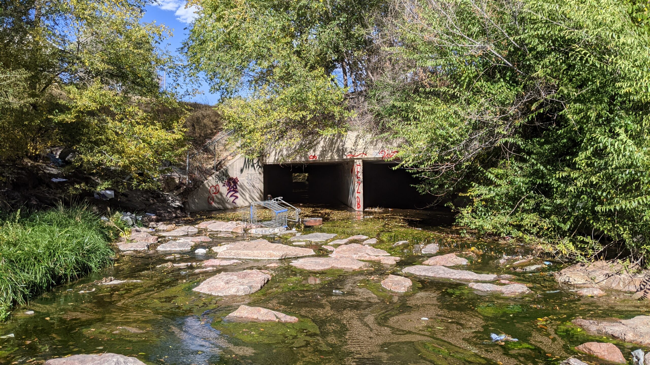 Spring Creek 1