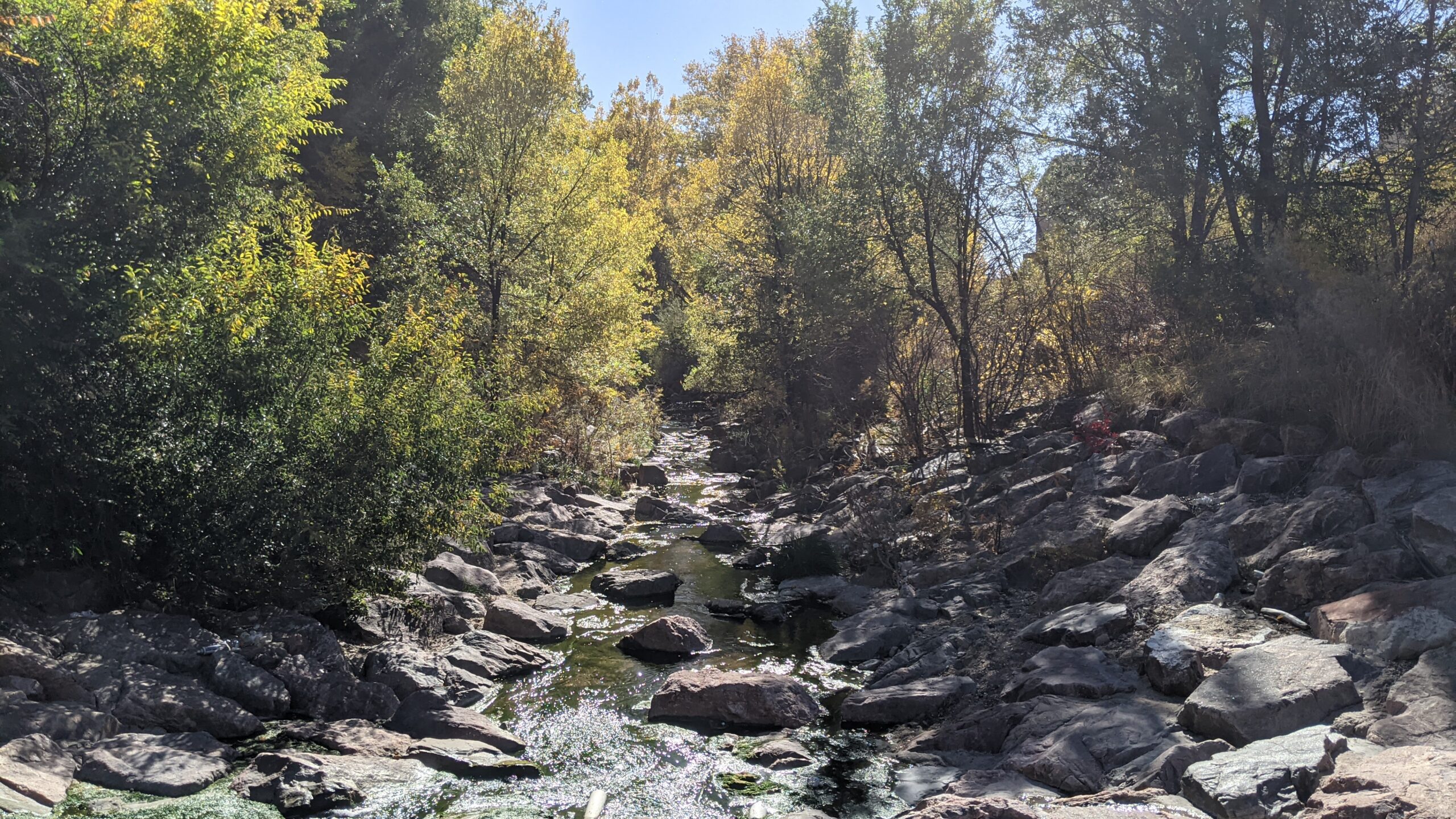 Spring Creek 2