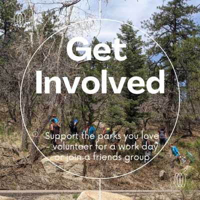 Volunteer & Get Involved